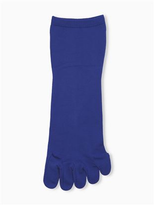 [�Ƃɂ���������Ɨ�����]���L�����n5�{�w�\�b�N�X10cm��b5�{�w�\�b�N�X