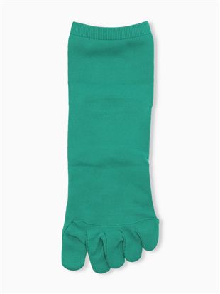 [�Ƃɂ���������Ɨ�����]���L�����n5�{�w�\�b�N�X10cm��b5�{�w�\�b�N�X