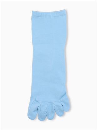 [�Ƃɂ���������Ɨ�����]���L�����n5�{�w�\�b�N�X10cm��b5�{�w�\�b�N�X