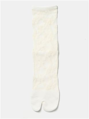 [����ȂŃ����ɂ���]�Ԃ����V�[�X���[2�{�w�\�b�N�X26cm��b
