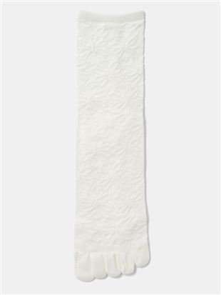 �ȍ����L�}�[�K���b�g���t���[�g5�{�w�\�b�N�X14cm��b