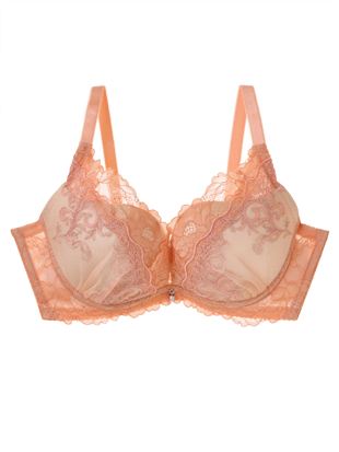 [�e��0�u��]�`���`���A���i�j��ŋ��̒�������������@�h�J�u���b