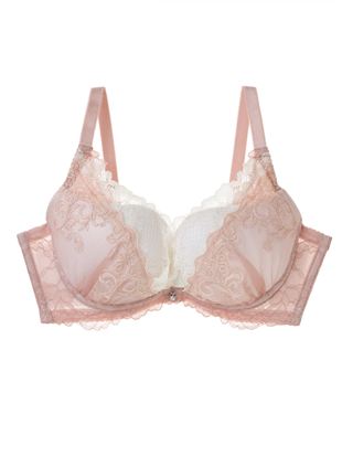 [�e��0�u��]�`���`���A���i�j��ŋ��̒�������������@�h�J�u���b���C���[����̃u���W���[