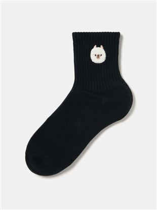 [���x����]����������h�J�A�����u�\�b�N�X13cm��b