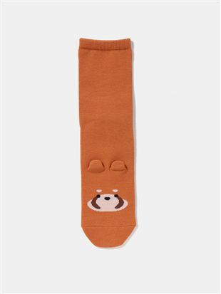 [���x����]�t�����g�A�j�}�����\�b�N�X16cm��b