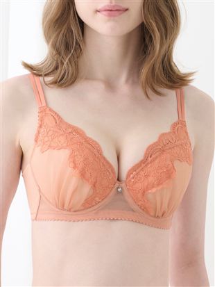 [�傫�ȋ��������������钅�₹�u��]�R���p�N�g�h���X�u���b���C���[����̃u���W���[