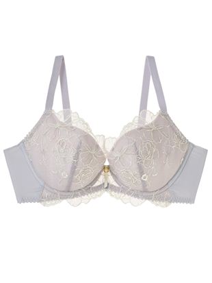 [TOP UP�u��]�o���h�J�u���b���C���[����̃u���W���[