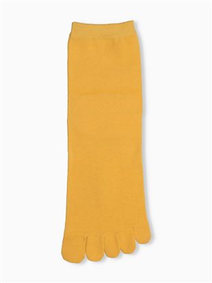 DRY���L���n5�{�w�\�b�N�X14cm��b���܁E2�{�w�\�b�N�X