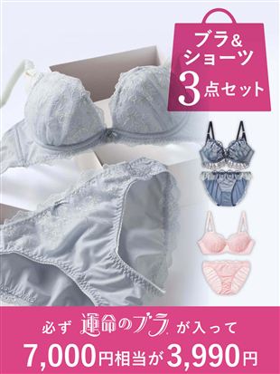 �y�^���̃u�����K������I�z�u��&�V���[�c3�_�Z�b�g���܁b