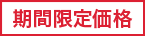 ���Ԍ���SALE